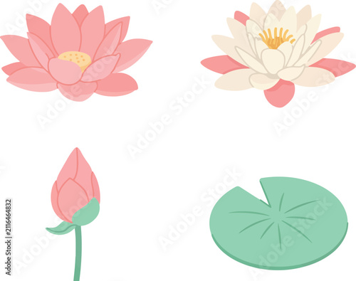 Fotografía Beautiful aquatic lotus and water lily vector icon set featuring blooming pink w