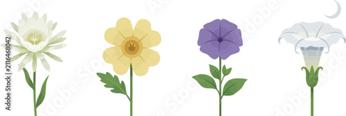 фотографія Night blooming flower vector icon set featuring white moonflower evening primros