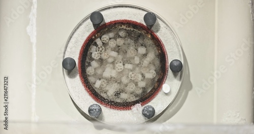 Industrial water filtration system with bio media for cleaning