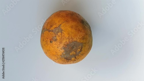 Fresh and Delicious Orange Fruit Video Footage Featuring Ripe Citrus Harvest with Natural Texture, Vibrant Color, and Healthy Organic Produce
