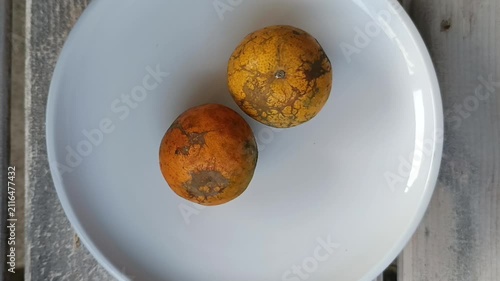 Fresh and Delicious Orange Fruit Video Footage Featuring Ripe Citrus Harvest with Natural Texture, Vibrant Color, and Healthy Organic Produce