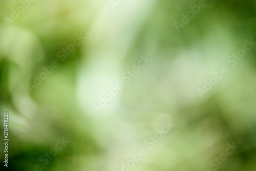 Canvastavla Abstract blurred green nature texture background
