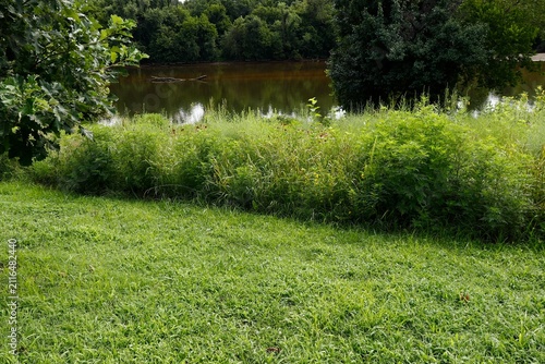 Фотография Calm river water and verdant shoreline