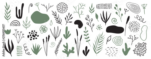 Foto Organic hand drawn shapes, plants, textures
