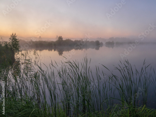 a serene, misty lake at dawn, with tall reeds in the foreground and distant trees reflected beautifully on the water's surface.