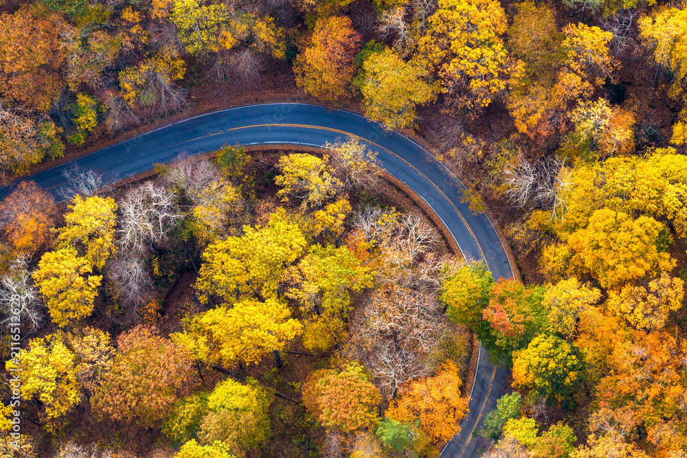 Fototapeta premium Peaceful mountain pass road winding through colorful autumn woods. Beautiful seasonal scenery with no traffic or people.