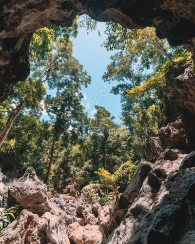 Looking Up Through Cave Opening at Lush Green Trees and Blue Sky in Tropical Location Perspective