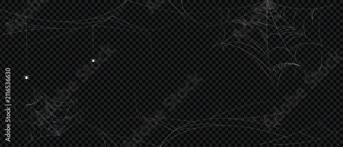 Quadro su tela Realistic cobweb and spider vector set isolated on transparent background