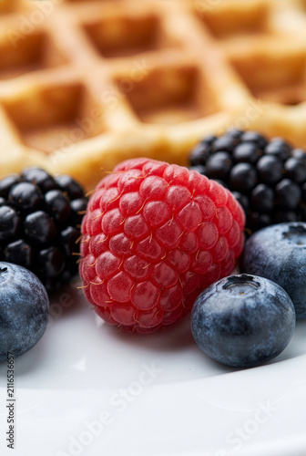 Close up fresh raspberry blueberry and blackberry topping on waffle background