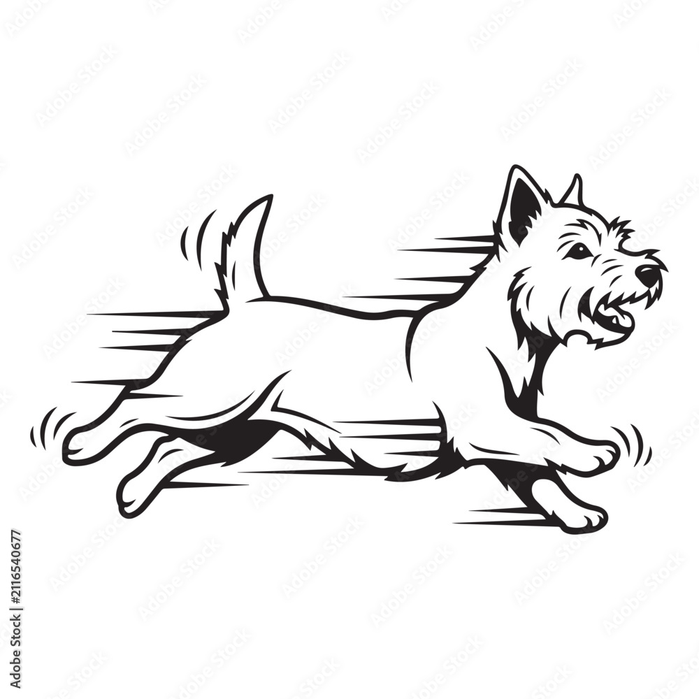 Fototapeta premium West Highland White Terrier running fast vector icon with dynamic motion lines for pet services and canine agility branding