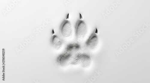 animal track claw scratch mark impression indentation embossed debossed relief sculpture texture surface white grey minimalist abstract modern isolated on white background