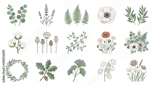 Hand Drawn Botanical Illustrations Collection.