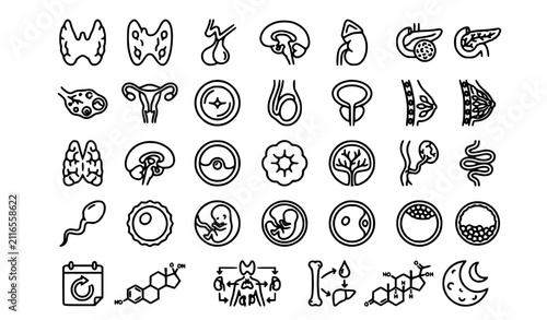 Canvas Print Glandular and reproductive anatomy outline icons | Thyroid uterus ovary pituitar