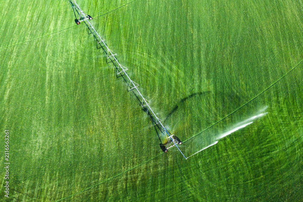 Fototapeta premium Sprinkler system waters cultivated field. Sprinkler system crosses green grass. Aerial sprinkler system sprays water. Center pivot sprinkler system irrigates field.