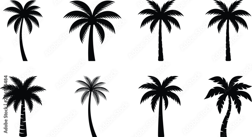 Naklejka premium Tropical Palm Tree Silhouette Collection Set Isolated on White Background with Black Coconut Palm Vector Design Elements
