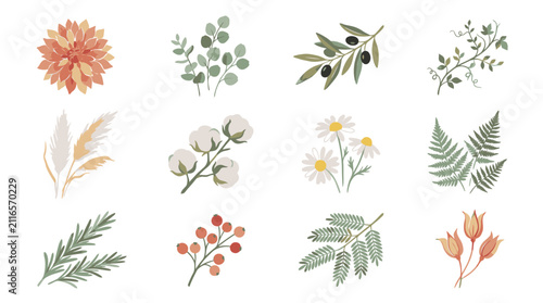 Obraz na plátně Colorful Illustrated Botanical Flower and Leaf Collection.