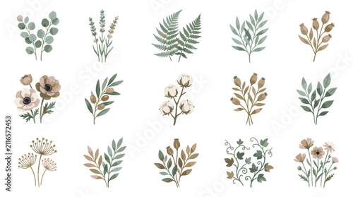 Colorful Hand Drawn Botanical Illustrations Collection.