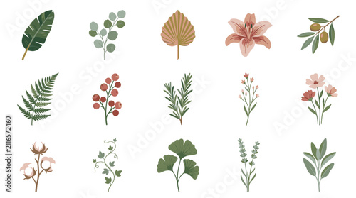 Colorful Illustrated Botanical Leaves and Flowers Collection.