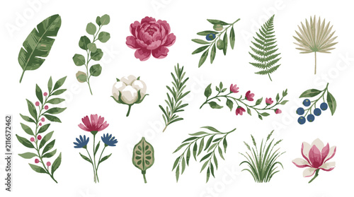 Colorful Hand Drawn Botanical Floral Illustration Collection.