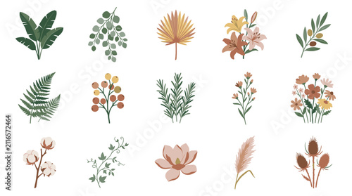 Colorful Illustrated Botanical Collection of Leaves and Flowers.