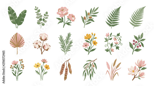 Colorful Hand Drawn Botanical Flower and Leaf Collection.