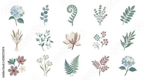 Colorful Hand Drawn Botanical Flower and Leaf Collection.