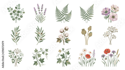 Illustrated Collection of Diverse Botanical Plants and Flowers.