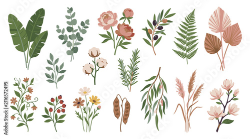 Colorful Illustrated Botanical Elements Collection.