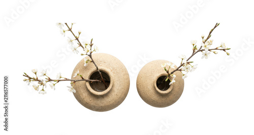 Minimalist ceramic vase png Rustic pottery vessel cutout Elegant floral vase png Natural clay pot cutout Zen ceramic bowl png Handcrafted isolated transparent background image