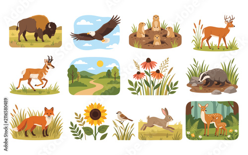North American Prairie Wildlife and Native Flora Flat Vector Illustration Collection