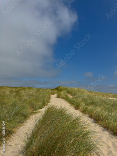 Fotografie Vertical photo of a sandy path dividing into two directions through coastal dunes on Sylt Island, Germany