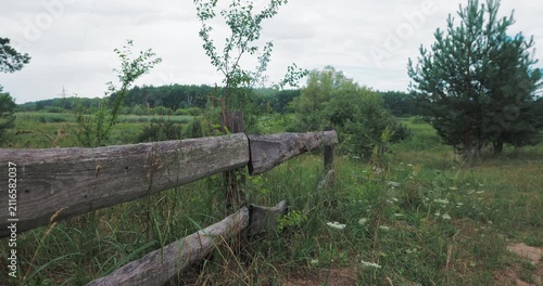 Beautiful countryside landscape with green meadow and trees on a rainy day