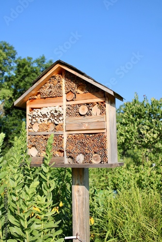 Bee Hotel in garden