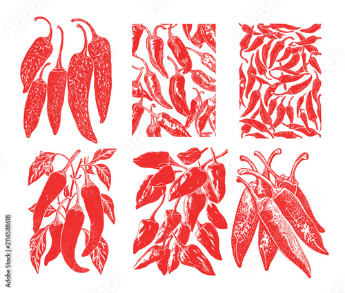 Chili pepper cartoon vector set. Red hot spice vegetable agriculture organic nutrition food cooking culinary sketch drawing contour line art outline engraved retro harvest nature plant isolated