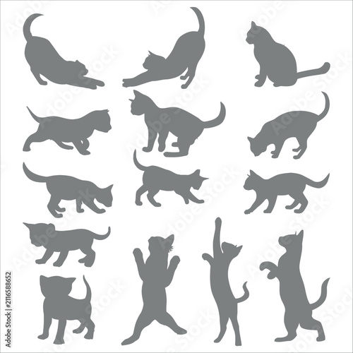 Collection of cat silhouettes in various playful poses on a white background