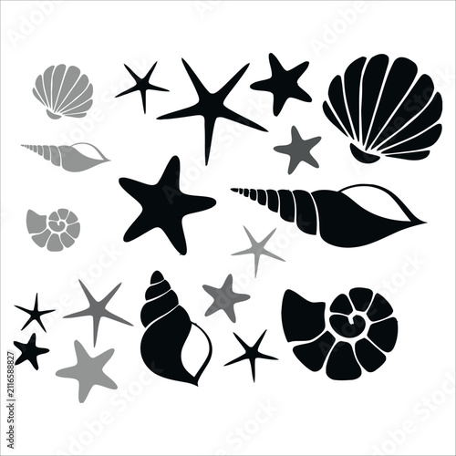 Seashell and starfish silhouettes on a white background marine life collection
