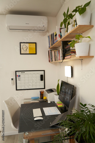Compact minimalist home office with desk shelves and plants