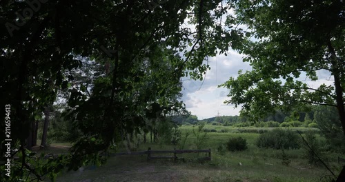 Landscape view of sunlight illuminating meadow behind dark tree shadows