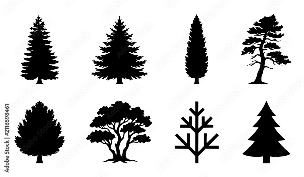 Fototapeta premium Pine Fir Evergreen Tree Silhouette Vector Collection Isolated on White Background for Nature Design