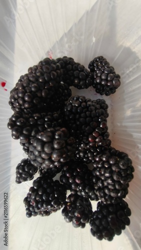 Fotografie A close-up of a pile of blackberries in a plastic container