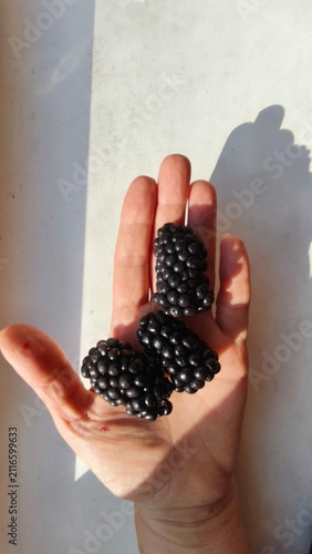 Fotografie A close-up of a blackberry in a woman's hand.