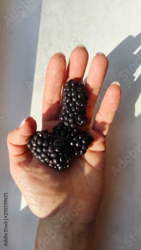 Fotografía A close-up of a blackberry in a woman's hand.