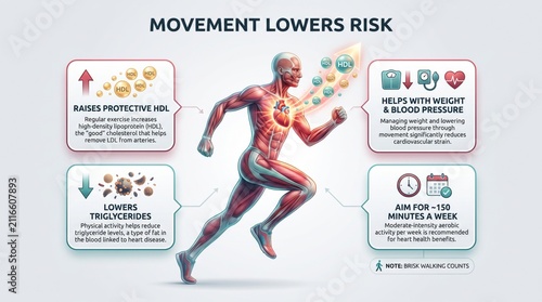 Movement lowers cholesterol risk