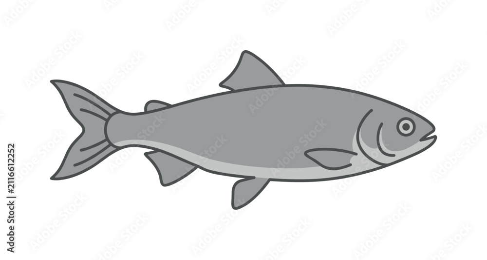 Fototapeta premium Simple illustration of a gray fish swimming gracefully to the right side