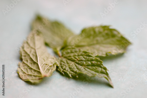 Macrophotography of mint leaves with copy space