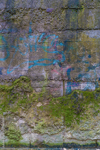 Canvas Print Weathered Concrete Wall With Moss And Faded Graffiti