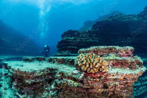 Underwater landscape in Kauai, Hawaii