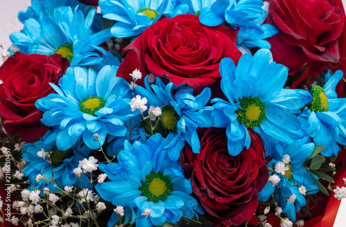 A floral bouquet of red roses, blue gerberas, and gypsophila