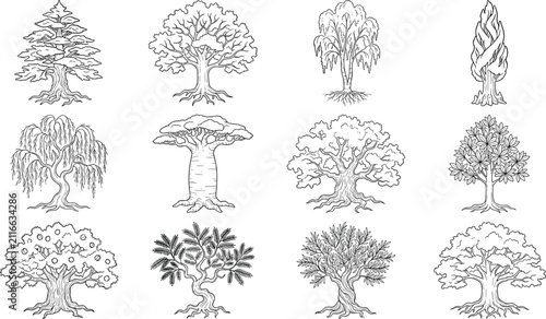 Hand Drawn Tree Collection with Botanical Nature Outline Illustrations and Landscape Vector Set