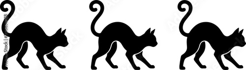 Fotografía Silhouette of a black cat in a threatening posture with an arched back and curle